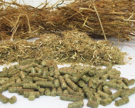 straw pellet fuel